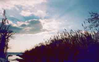 Pelion