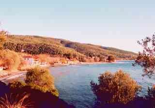 Pelion